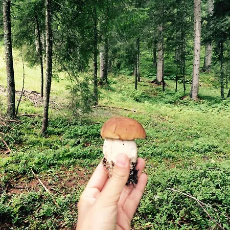 Szálloda Sport Sappada